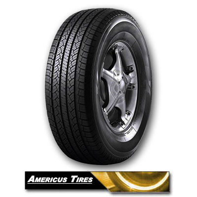 Americus Tire R601